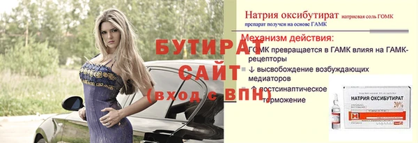 гидра Богданович