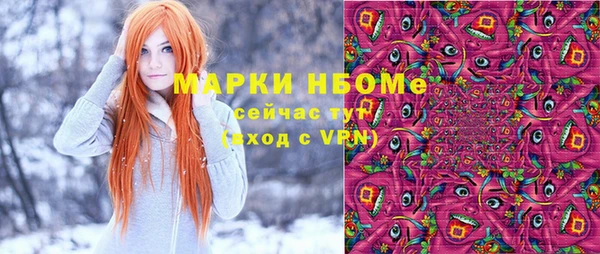 гидра Богданович