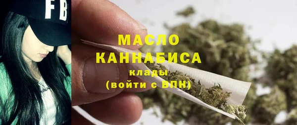 гидра Богданович