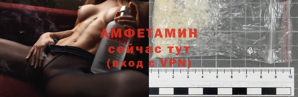 гидра Богданович
