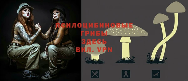гидра Богданович