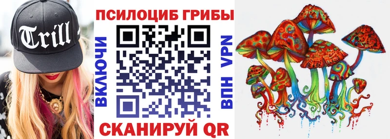купить сайты Богданович Псилоцибиновые грибы мицелий